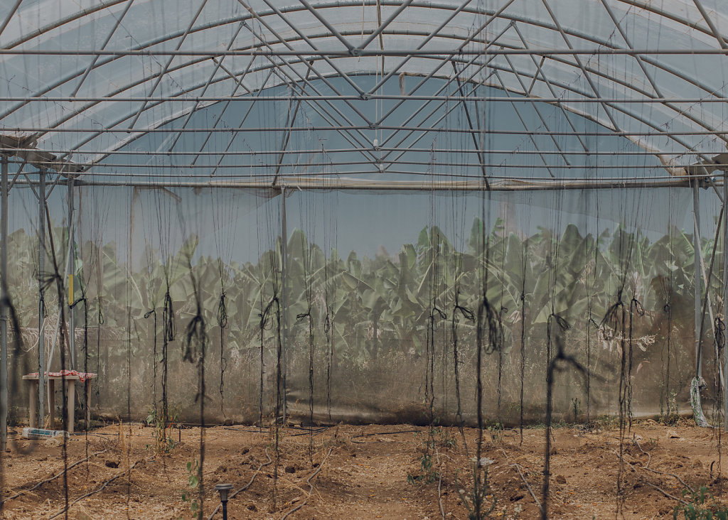 A greenhouse at the farm "Beyond Organic"